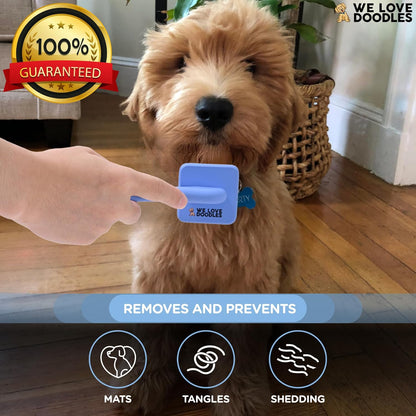 We Love Doodles Large Slicker Brush & Lavender Detangler Spray Pack - for Long-Haired Dogs, Dog Leave-In Conditioner for Reducing Mats, Knots & Tangles, Dematting & Conditioning Kit, 16 oz