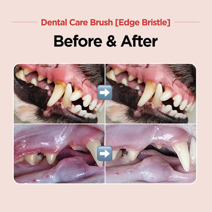 JAYU PET Dental Care Brush with Soft Bristles 1ea - Dog Toothbrush, Cat Toothbrush, Dental Care for Kitten and Small Dogs, Removing Old Plaque and Tartar, Easy Cleaning