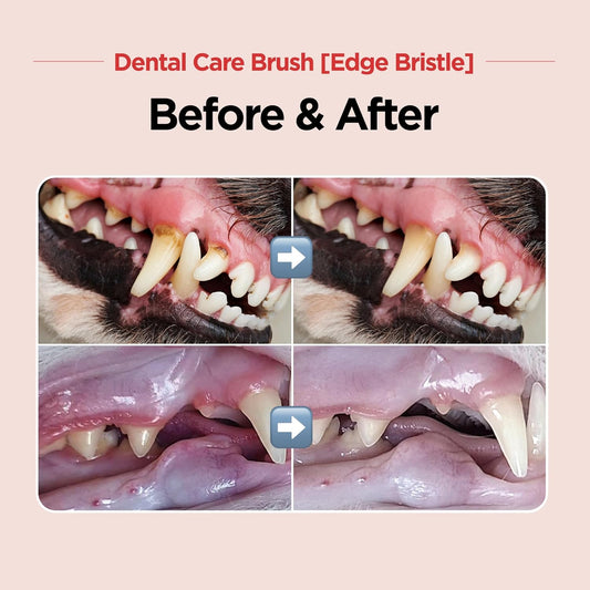 JAYU PET Dental Care Brush with Soft Bristles 1ea - Dog Toothbrush, Cat Toothbrush, Dental Care for Kitten and Small Dogs, Removing Old Plaque and Tartar, Easy Cleaning