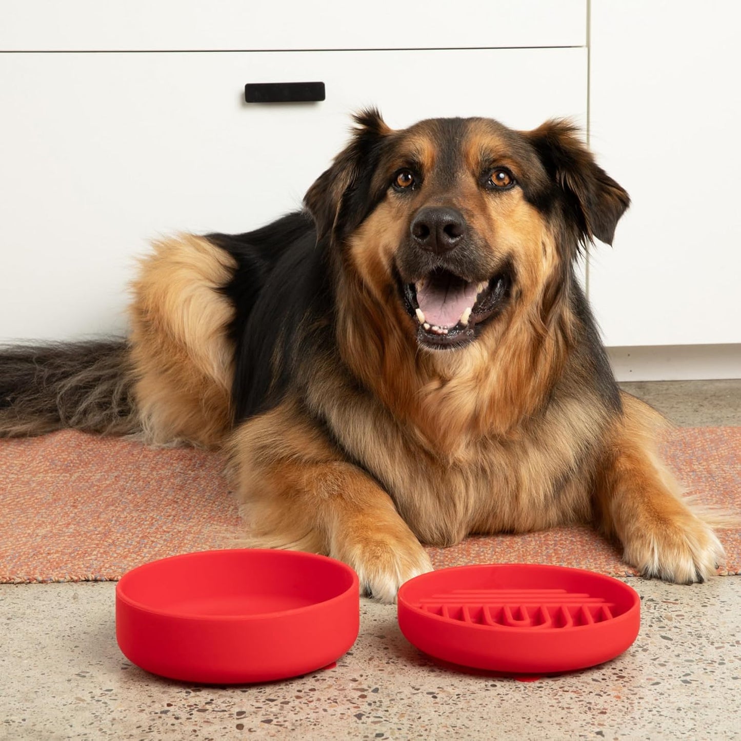 Should We Go? Slow Feeder for Dogs & Puppies, The Slowdown Bowl Silicone Slow Eating, Modern Lick Mat Design, Reduces Gulping, Fits 2 Cups, 7.5” Across x 1.5” Tall, Mealtime Challenge, Medium-Blush
