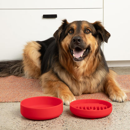 Should We Go? Slow Feeder for Dogs & Puppies, The Slowdown Bowl Silicone Slow Eating, Modern Lick Mat Design, Reduces Gulping, Fits 2 Cups, 7.5” Across x 1.5” Tall, Mealtime Challenge, Medium-Blush