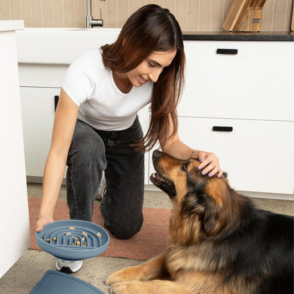 Should We Go? Slow Feeder for Dogs & Puppies, The Slowdown Bowl Silicone Slow Eating, Modern Lick Mat Design, Reduces Gulping, Fits 2 Cups, 7.5” Across x 1.5” Tall, Mealtime Challenge, Medium-Blush