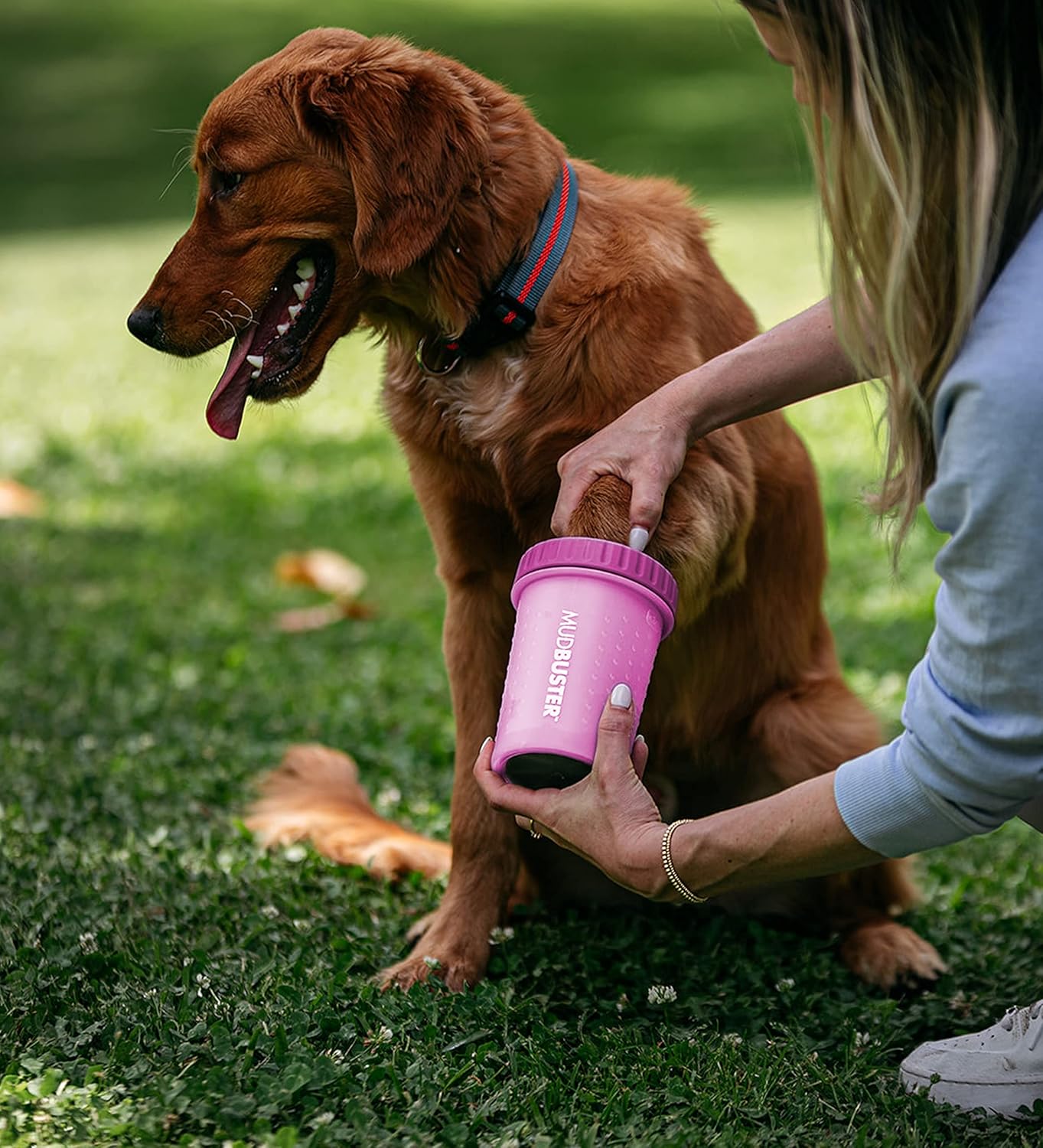 Dexas MudBuster Medium Dog Paw Cleaner in Fuchsia - Fits 1.5"-2.5" Wide Paws, Portable Paw Washer for Muddy Paws, Dog Paw Cleaning Cup with Gentle Silicone Bristles, Quick Clean Pet Paw Washer