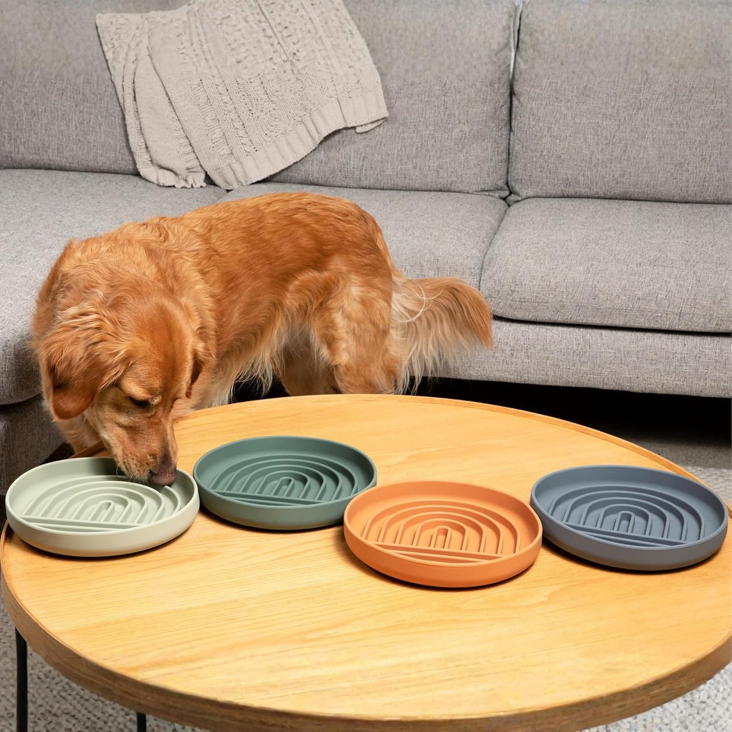 Should We Go? Slow Feeder for Dogs & Puppies, The Slowdown Bowl Silicone Slow Eating, Modern Lick Mat Design, Reduces Gulping, Fits 2 Cups, 7.5” Across x 1.5” Tall, Mealtime Challenge, Medium-Blush