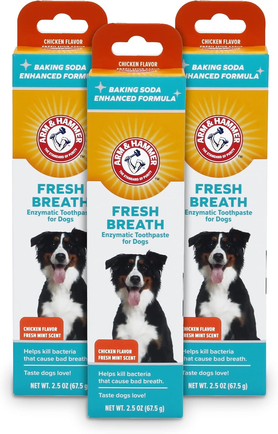 Arm & Hammer for Pets Fresh Breath Enzymatic Dog Toothpaste, Vanilla Ginger Flavor, Safe for Puppies and Adult Dogs, Daily Baking Soda Dental Gel to Eliminate Bad Breath, 2.5 Oz