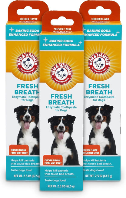 Arm & Hammer for Pets Fresh Breath Enzymatic Dog Toothpaste, Vanilla Ginger Flavor, Safe for Puppies and Adult Dogs, Daily Baking Soda Dental Gel to Eliminate Bad Breath, 2.5 Oz