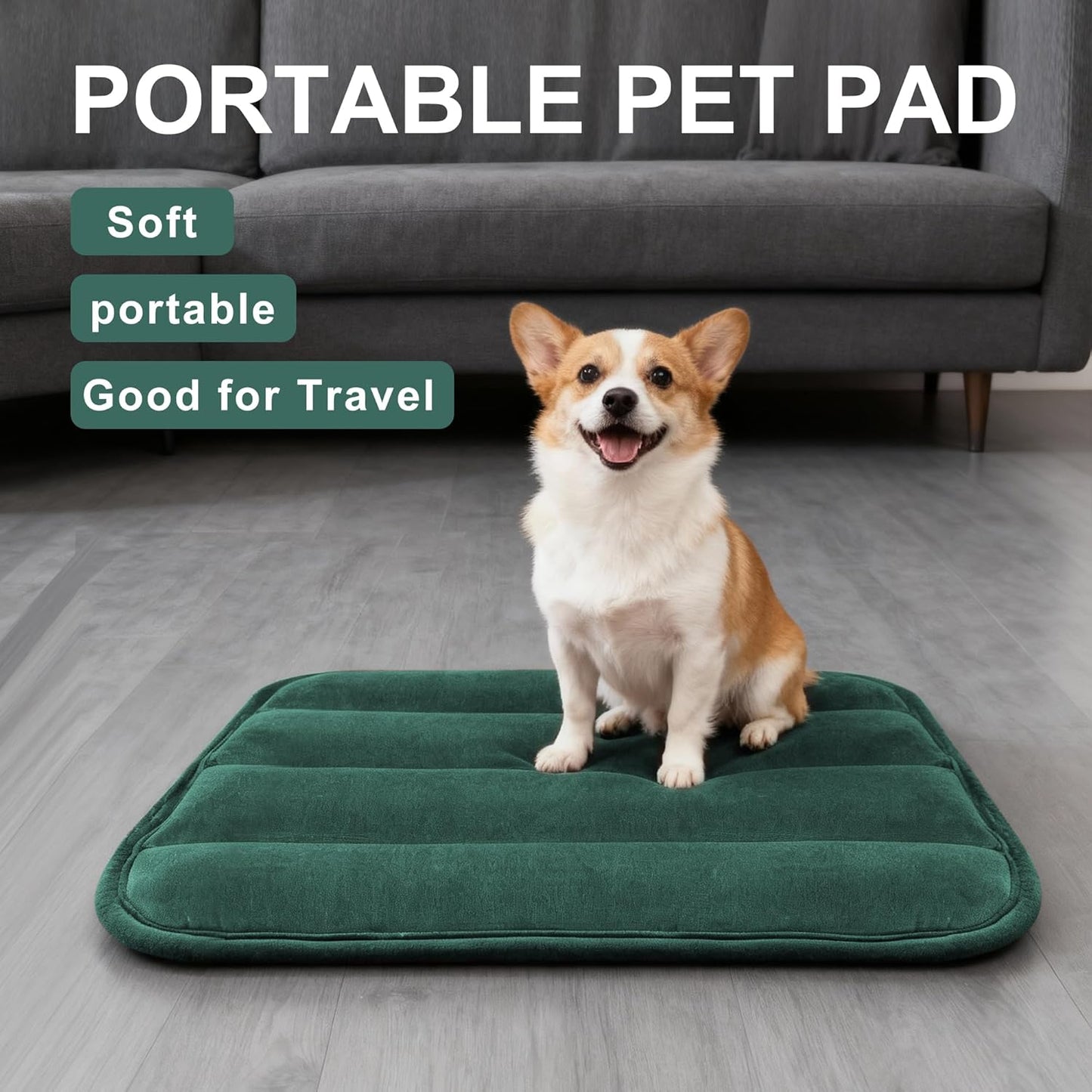 Dog Bed Mat, Reversible Crate Pad & Cute Dog Bed - Machine Washable Kennel Mat with Ultra Soft for Small Dogs (Cool/Warm), 24" x 18", Grey&Star