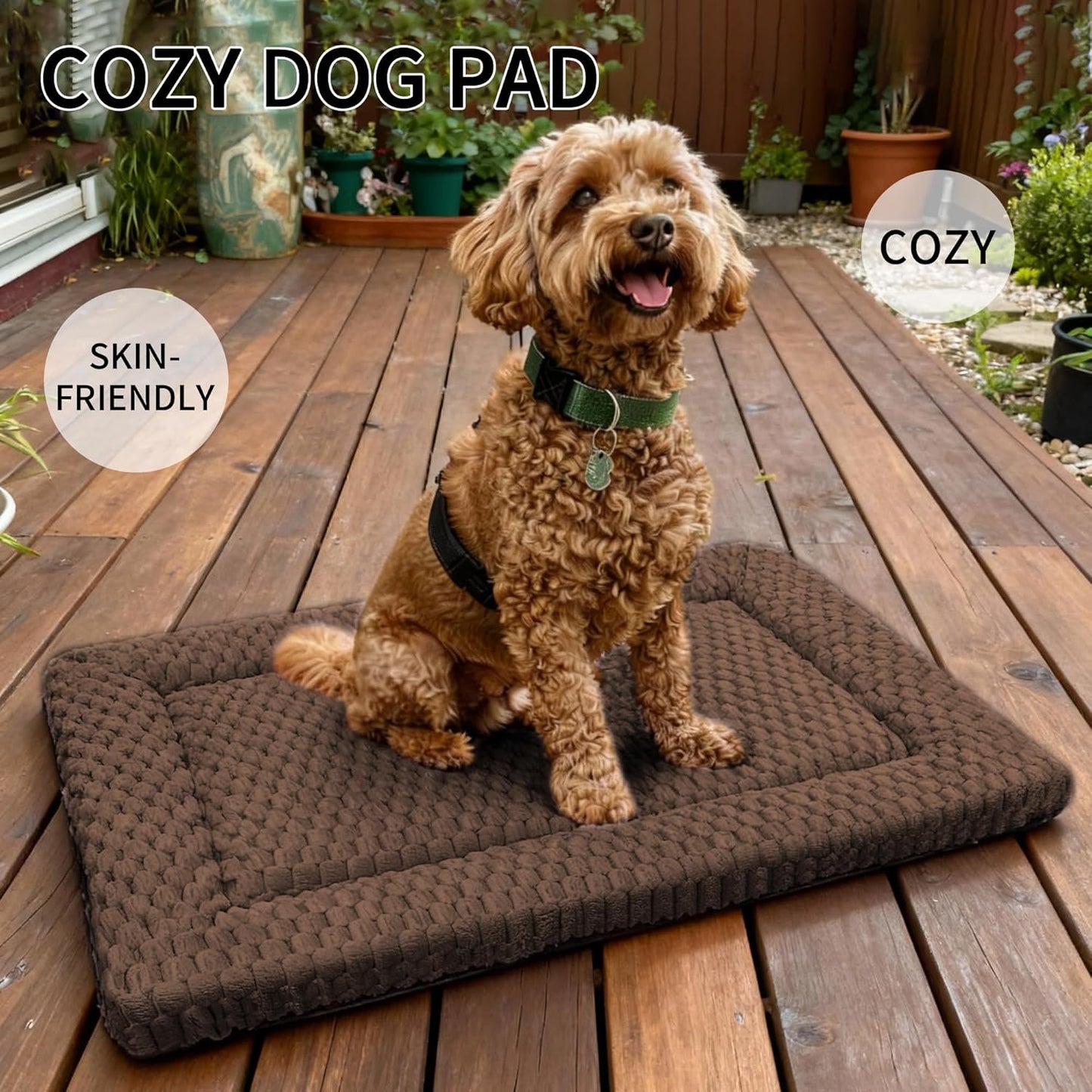 Dog Bed Mat, Reversible Crate Pad & Cute Dog Bed - Machine Washable Kennel Mat with Ultra Soft for Small Dogs (Cool/Warm), 24" x 18", Grey&Star
