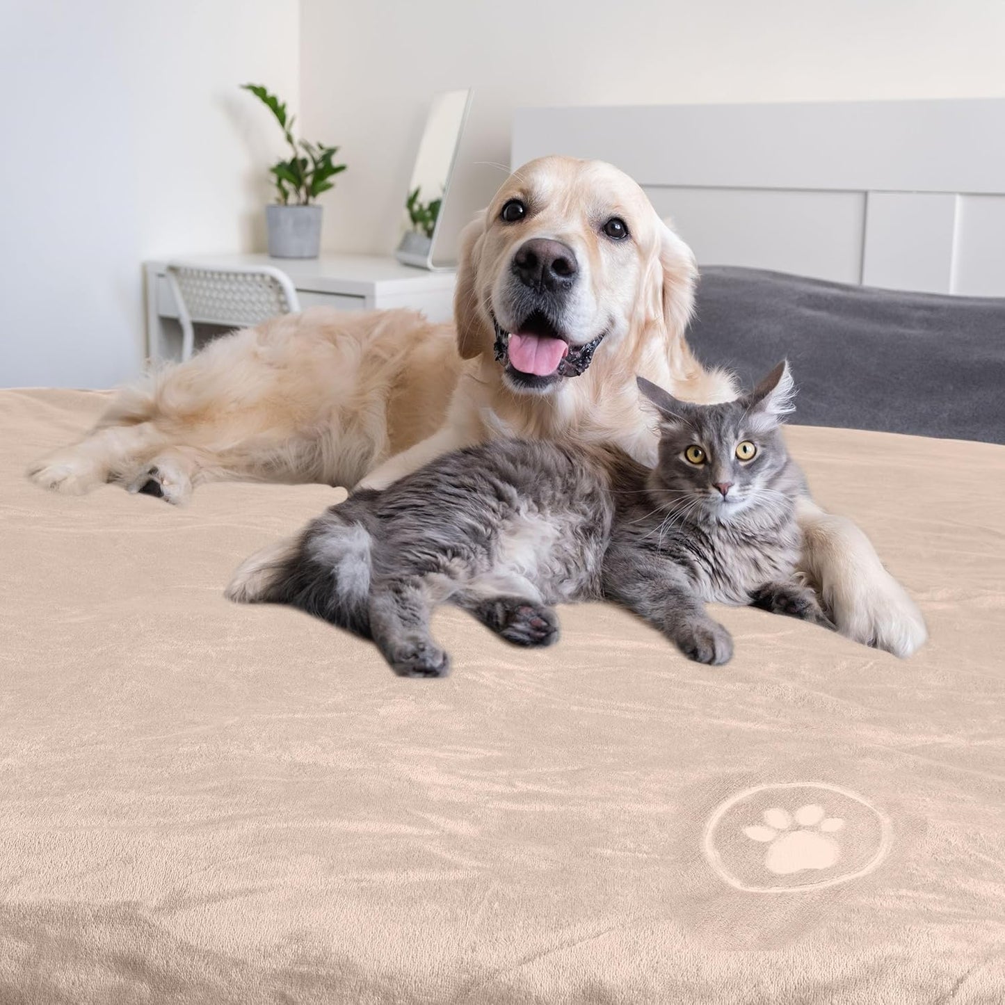 Waterproof Pet Blanket - 50x60-Inch Reversible Sherpa Fleece Throw Protects Couches, Cars, and Beds from Spills, Stains, and Fur by PETMAKER (Gray)