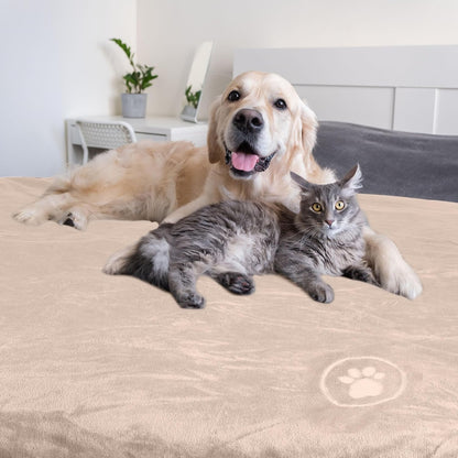 Waterproof Pet Blanket - 50x60-Inch Reversible Sherpa Fleece Throw Protects Couches, Cars, and Beds from Spills, Stains, and Fur by PETMAKER (Gray)