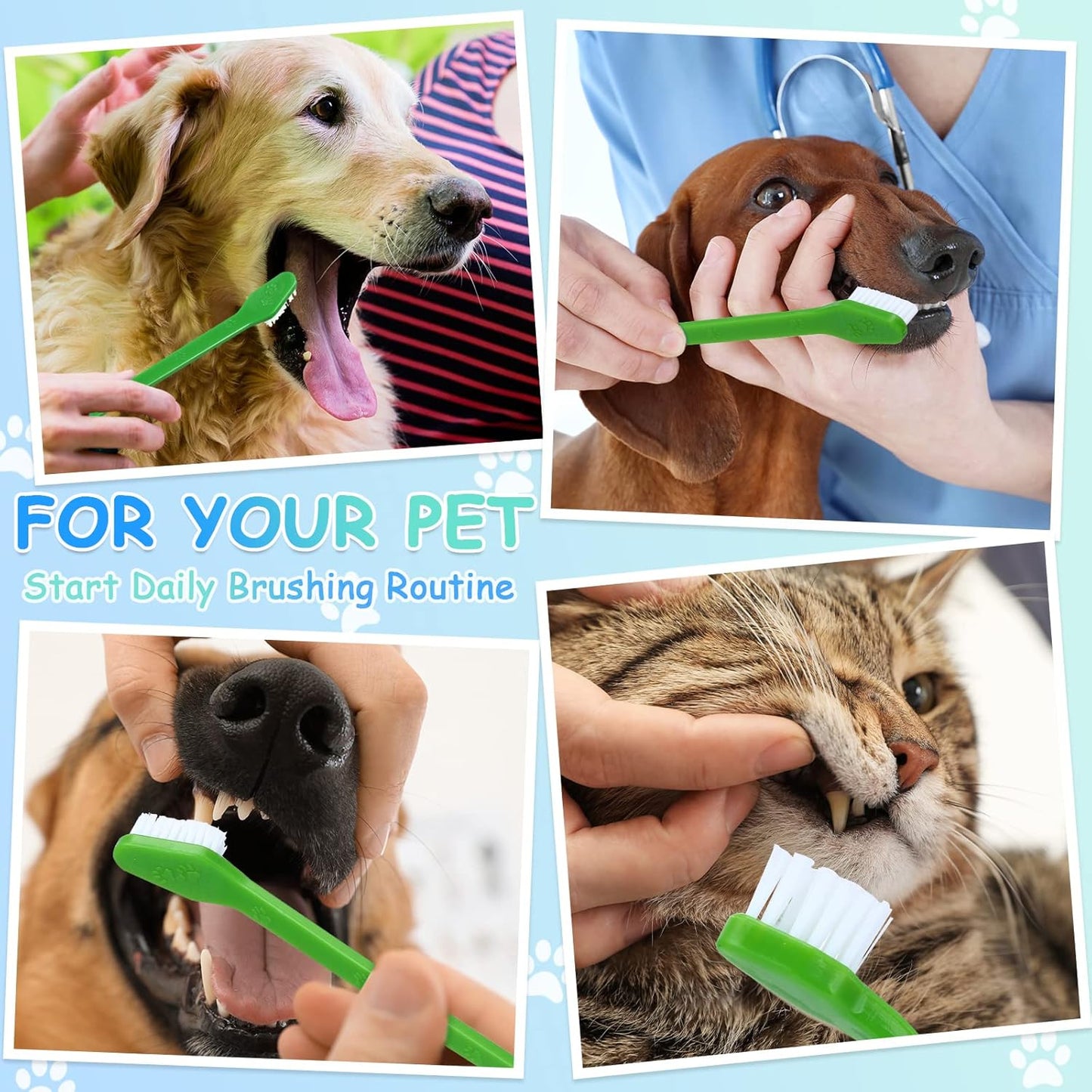 Honeydak Dog Toothbrush Bulk Dual Headed Dental Brushes Dogs Tooth Brushing Kit Long Handle Pet Tooth Brush for Puppy Large Small Cats and Most Pets Teeth Cleaning Dental Supplies(70 Pcs,Colorful)