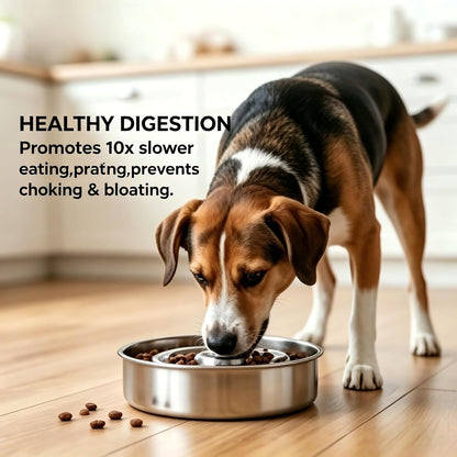 AIPERRO Slow Feeder Dog Bowl Stainless Steel, 2 Cups Metal Non-Slip Dog Food Bowls, Dogs Water Bowl for Small & Medium Sized Dogs, Fun Bloat Stop Pet Bowl for Fast Eaters, Slows Down Pets Eating