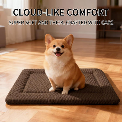 Dog Bed Mat, Reversible Crate Pad & Cute Dog Bed - Machine Washable Kennel Mat with Ultra Soft for Small Dogs (Cool/Warm), 24" x 18", Grey&Star