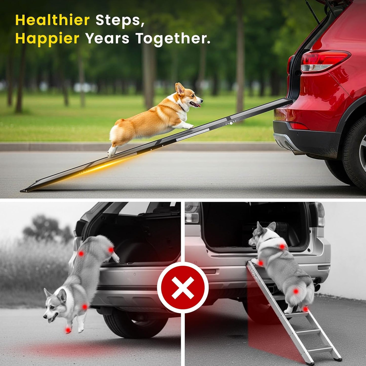Portable Dog Ramp for Car – Foldable Dog Car Ramp for Truck, SUV, High Bed & Sofa with Anti-Slip Feet & Traction Carpet – Small to Large Breeds (63" Long & 17" Wide)