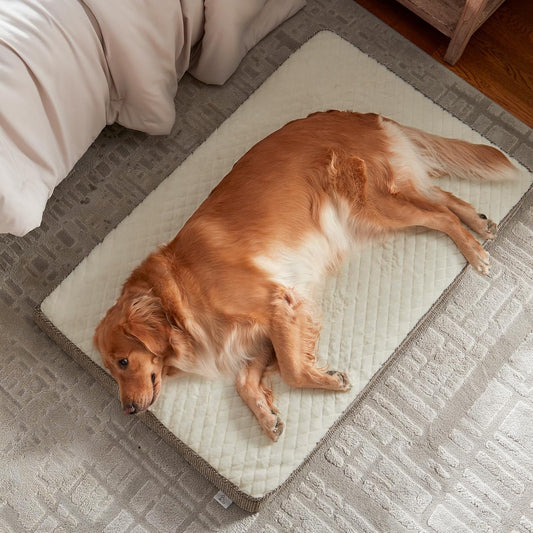 JOEJOY XL Dog Beds Large Sized Dog, Orthopedic Big Dogs Crate Bed with Washable Removable Cover, Extra Thick Egg-Crate Memory Foam Pet Beds up to 80 lbs, Grey, 41"x27"