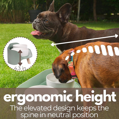 A4DOG Ceramic Dog Bowls with Stand - Elevated Dog Water and Food Bowl Set 13.5oz Cat & Dog Feeding Station Spill Proof Splash Proof Raised Pet Food Bowls for Dogs, No Mess Pet Feeder - Gray