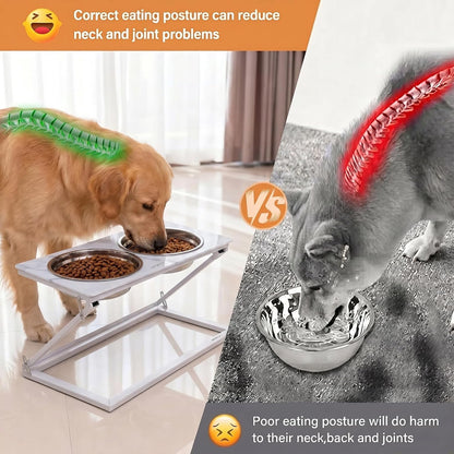 Elevated Dog Bowls, Adjustable Raised Dog Bowl Stand with 2 Stainless Steel Food Bowls 20°Tilted Water Bowls for Medium Small Sized Dogs (Black, Medium)