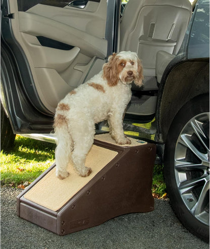 Pet Gear Stramp Stair and Ramp Combination for Dogs/Cats, Easy Step, Lightweight/Portable, Sturdy, Easy Assembly (No Tools Required) 1 Model, Coffee Bean