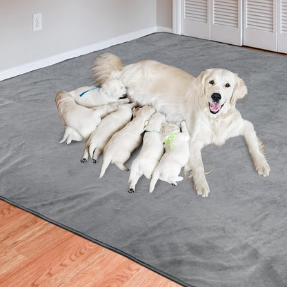 Dog Pee Pad Washable Extra Large, Instant Absorb Thicker Training Pads Non-Slip Pet Playpen Mat, Waterproof Reusable Floor Mat Ideal for Puppy Senior Dog Whelping Incontinence Housebreaking 65x48 Inch