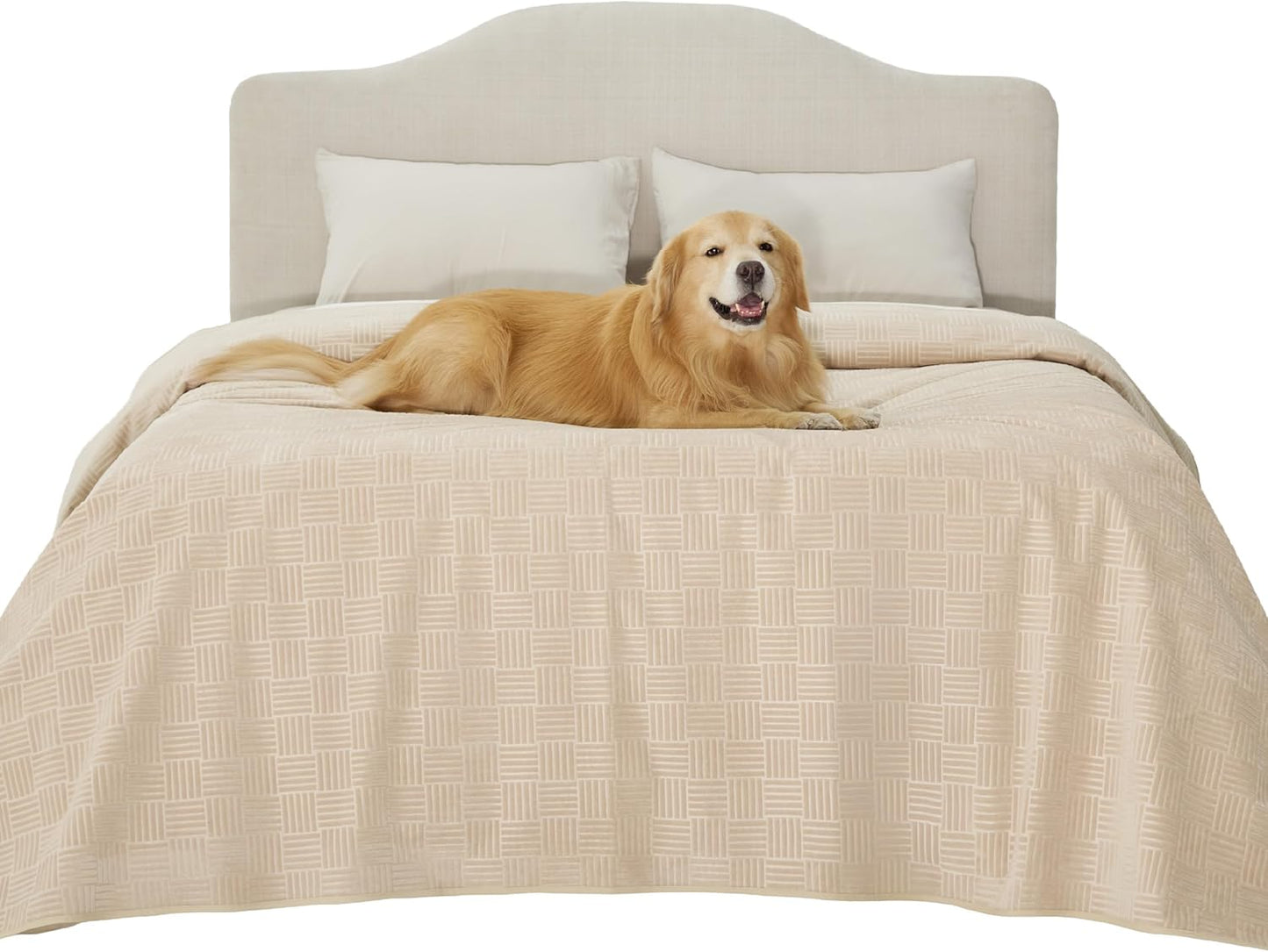Bedsure Waterproof Couch Cover for Dogs Washable - Waterproof Blanket for Large Dogs Couch Sofa Bed Cozy, Lightweight Furniture Protector for Pet Cat Quick Drying, Ash Grey, 52x82IN