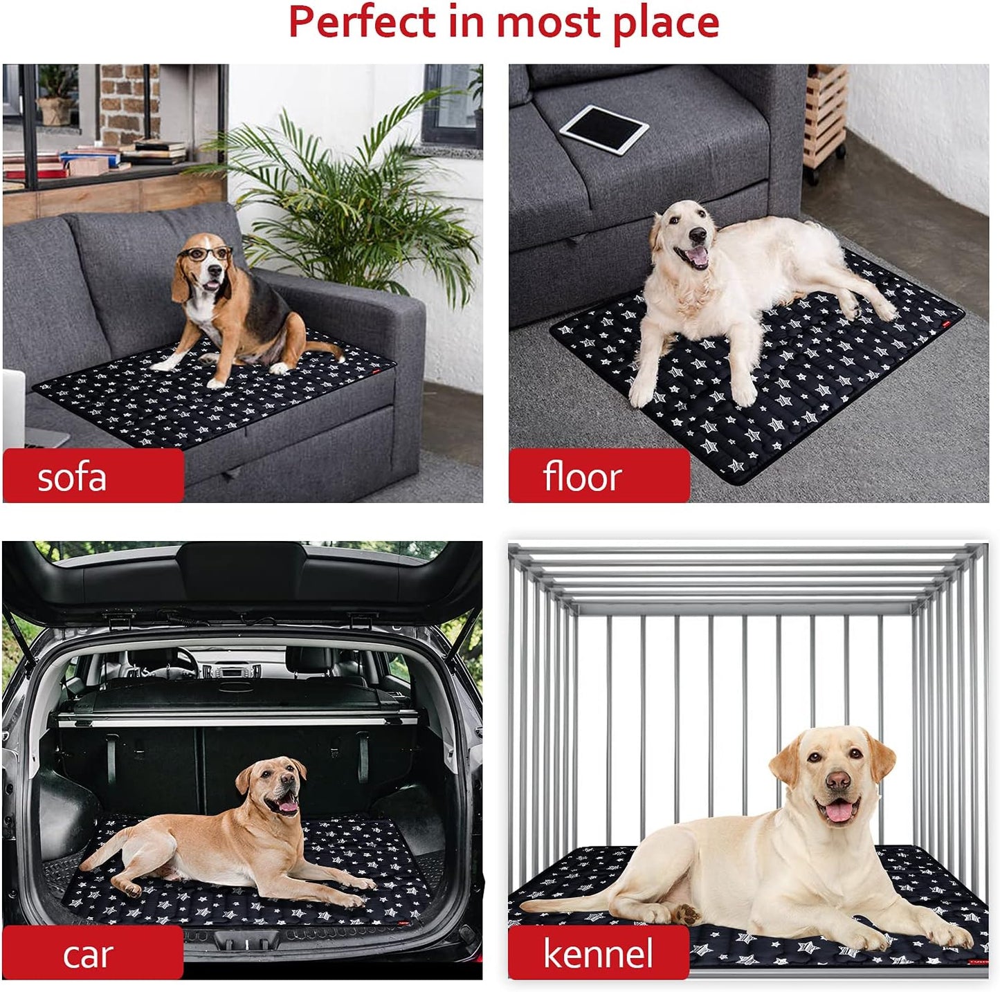 Dog Crate Bed Mat (36" X 23"), Soft Dog Bed Mat with Cute Stars, Personalized Crate Pad, Anti-Slip Bottom, Machine Washable Kennel Pad