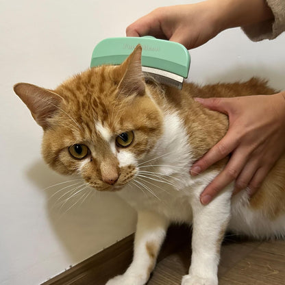 Pet Deshedding Tool with Curve Blade, Cat Grooming Brush, Tight V-shaped Teeth Shedding Comb for Cat and Dog (Pink, Large)