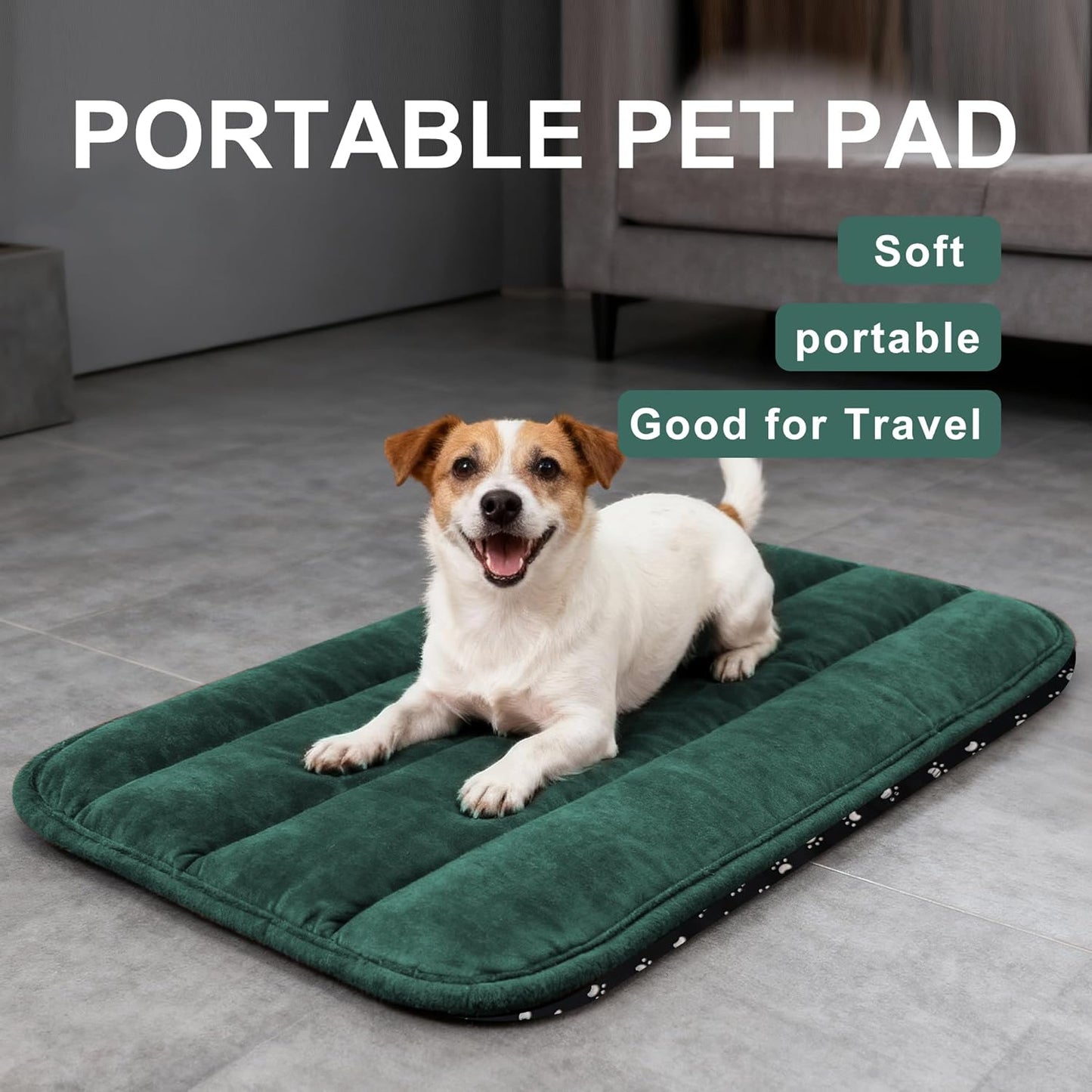 Dog Bed Mat, Reversible Crate Pad & Cute Dog Bed - Machine Washable Kennel Mat with Ultra Soft for Small Dogs (Cool/Warm), 24" x 18", Grey&Star