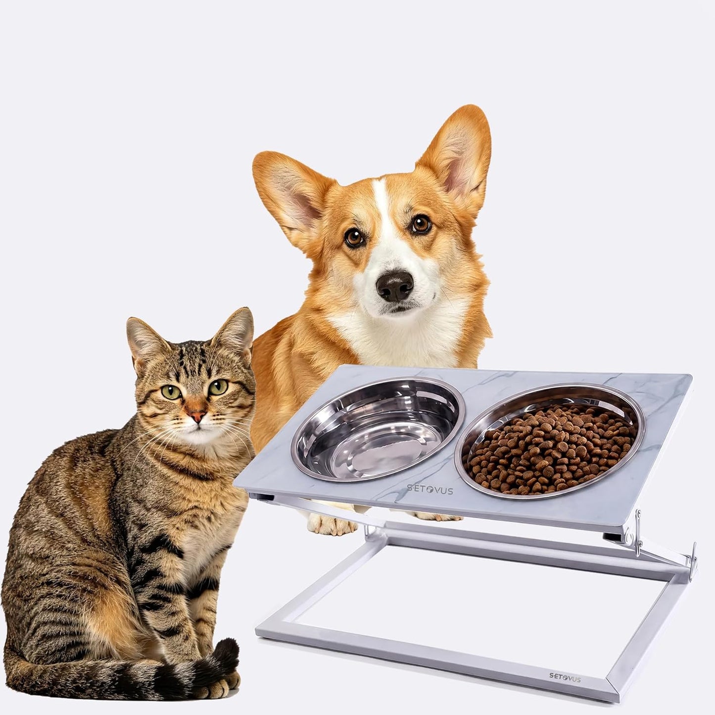 Elevated Dog Bowls, Adjustable Raised Dog Bowl Stand with 2 Stainless Steel Food Bowls 20°Tilted Water Bowls for Medium Small Sized Dogs (Black, Medium)