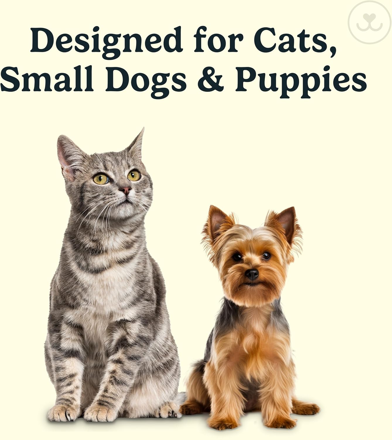Jasper Microbrush Vet Approved Cat Toothbrush, Soft-Bristled Toothbrush Kit for Felines & Small Dogs, Non-Slip Handle with 2 Replaceable Tooth Brush Heads, Use with Cat Toothpaste, 2-Pack, Rose Pink