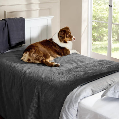 Bedsure Waterproof Couch Cover for Dogs Washable - Waterproof Blanket for Large Dogs Couch Sofa Bed Cozy, Lightweight Furniture Protector for Pet Cat Quick Drying, Ash Grey, 52x82IN