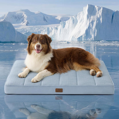 Bedsure Dog Beds Large Sized Dog - Comfy Flat Pet Beds with Removable Washable Cover, Orthopedic Egg Crate Foam Puppy Mat, Suitable for Pet Up to 65 lbs
