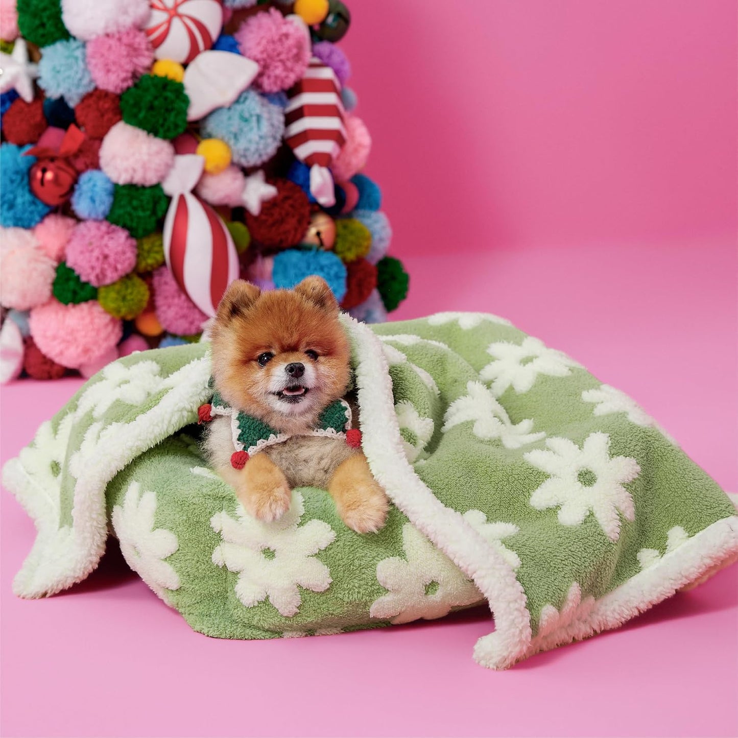 LE SURE Waterproof Dog Blanket for Large Dogs - Washable Double Sided Dog Blankets with Warm Jacquard Shag and Soft Sherpa Fleece, Pet Cat Blanket for Couch Protection, 3D Textured Cloud, Green