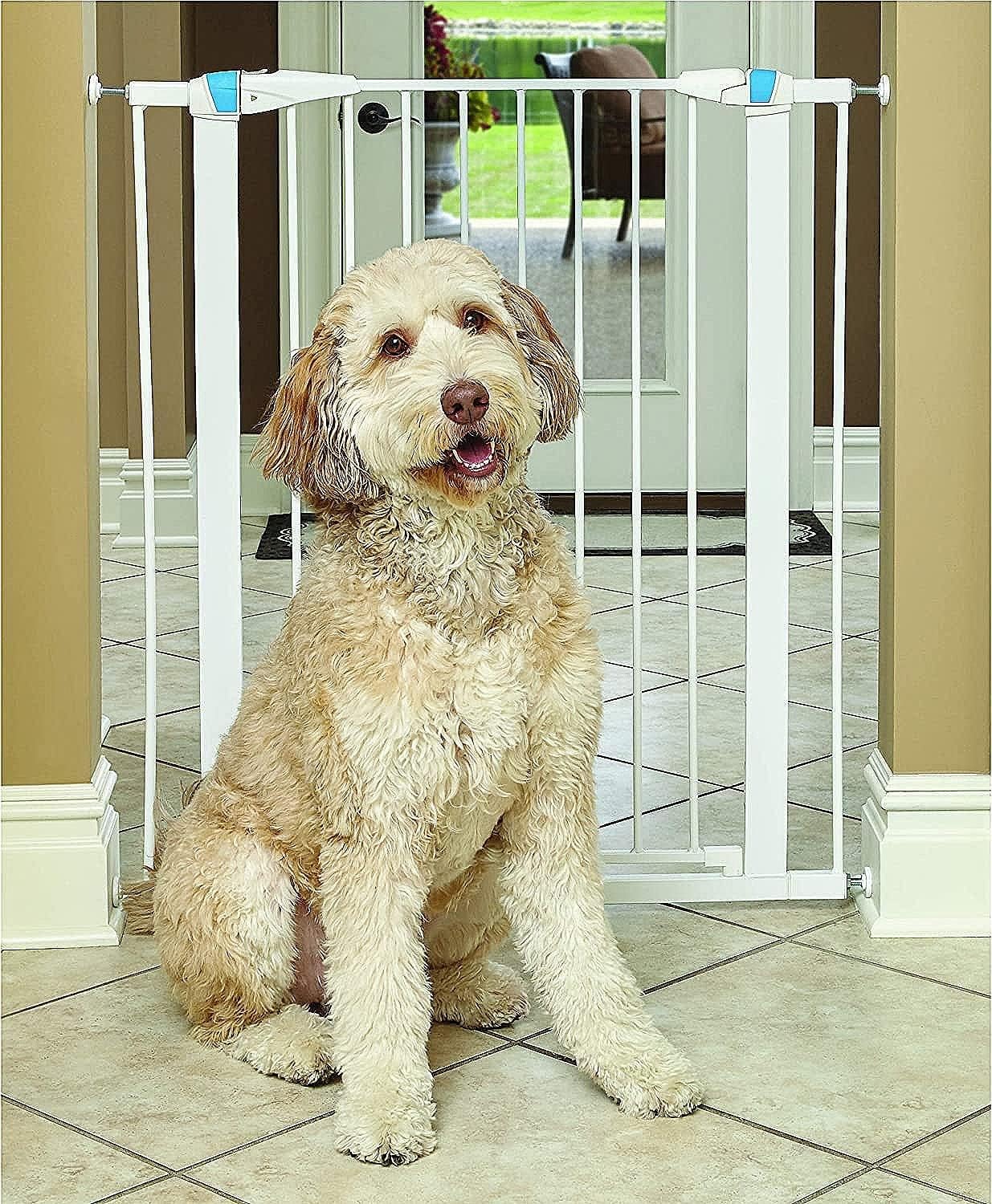 MidWest Homes for Pets 39 Inches Tall Walk-Though Steel Pet Gate, Pressure Mounted Dog Gatewith Glow Strip Measures 29-38 Inches Wide & Includes Two 3-Inch-Wide Extensions, Graphite