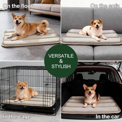 Dog Bed Mat, Reversible Crate Pad & Cute Dog Bed - Machine Washable Kennel Mat with Ultra Soft for Small Dogs (Cool/Warm), 24" x 18", Grey&Star