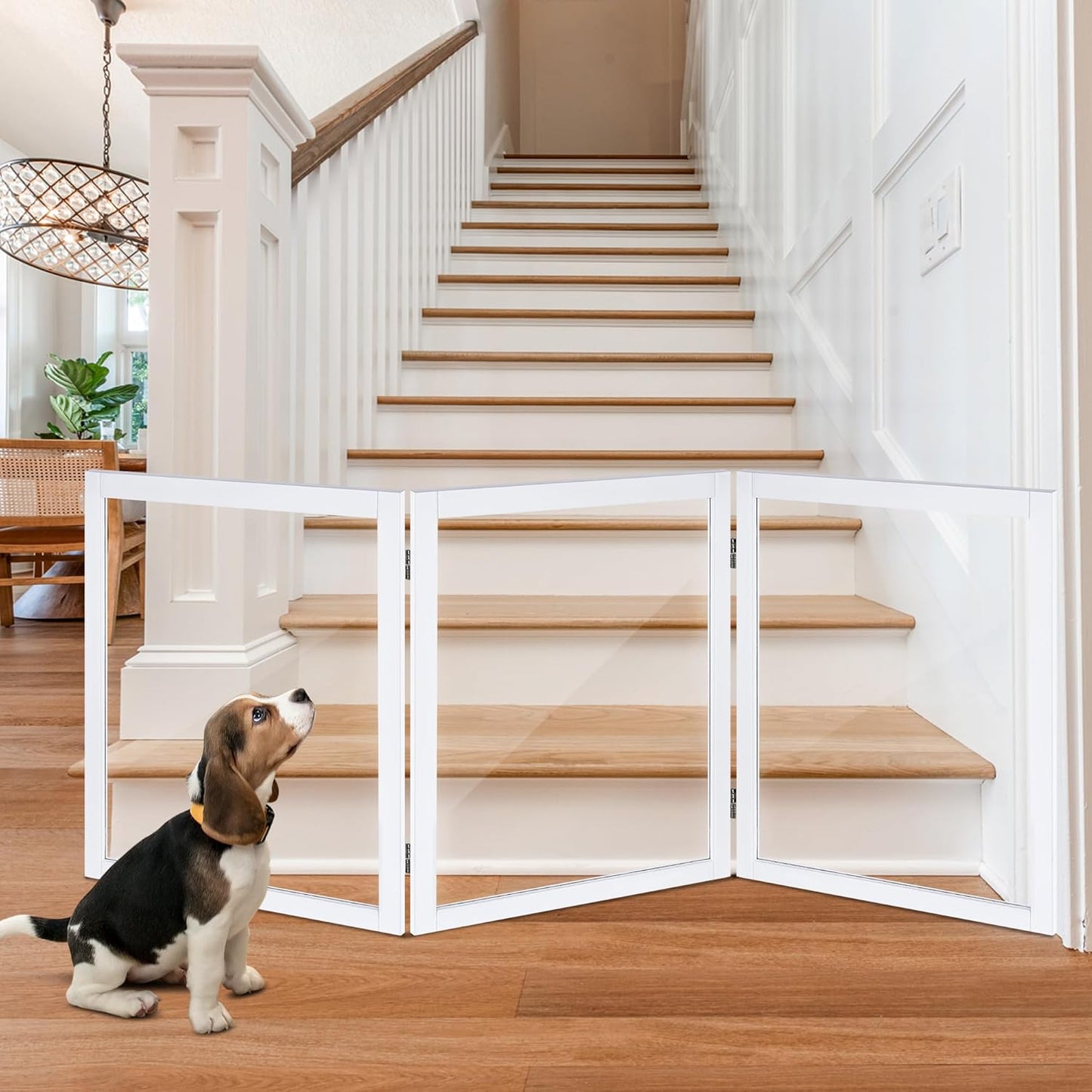 LZRS Clear Dog Gate for Indoor Use - Transparent Pet Fence with Solid Hardwood and Plastic Board, Stylish & Durable freestanding Pet Gate for Doorways, Stairs and Hallways-2 Panel Cherry
