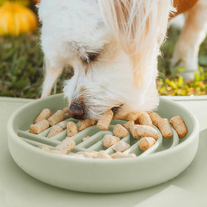 Should We Go? Slow Feeder for Dogs & Puppies, The Slowdown Bowl Silicone Slow Eating, Modern Lick Mat Design, Reduces Gulping, Fits 2 Cups, 7.5” Across x 1.5” Tall, Mealtime Challenge, Medium-Blush