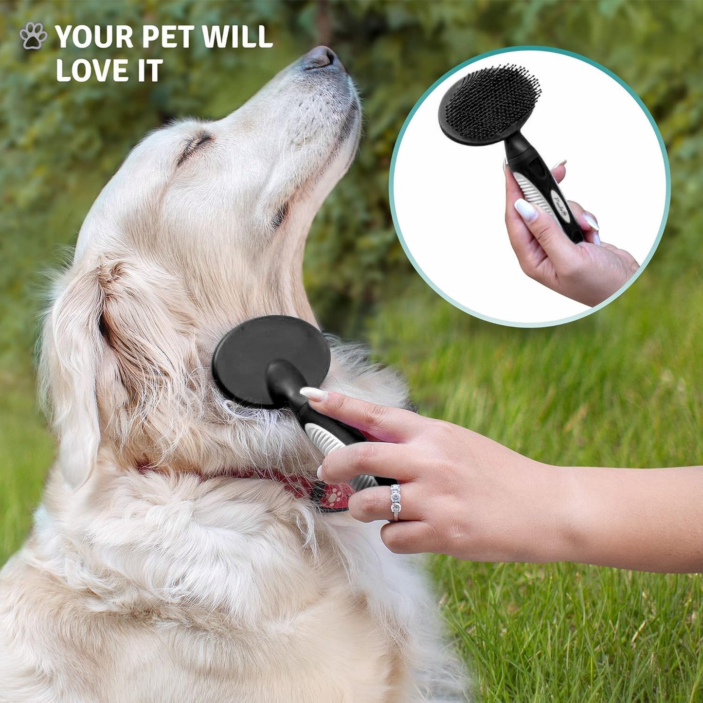 Round Bristle Pet Brush for Dogs and Cats - Soft Dog Brush for Grooming Short or Long Hair - Gentle Tool for Sensitive Skin Removes Dander, Dirt, and Detangles (Purple)