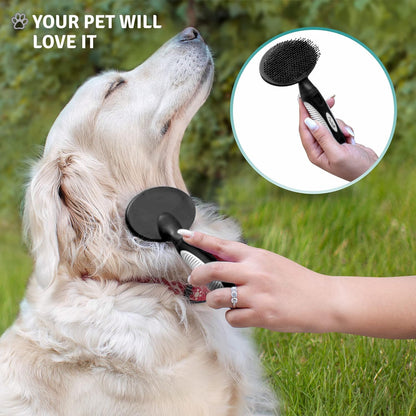 Round Bristle Pet Brush for Dogs and Cats - Soft Dog Brush for Grooming Short or Long Hair - Gentle Tool for Sensitive Skin Removes Dander, Dirt, and Detangles (Purple)