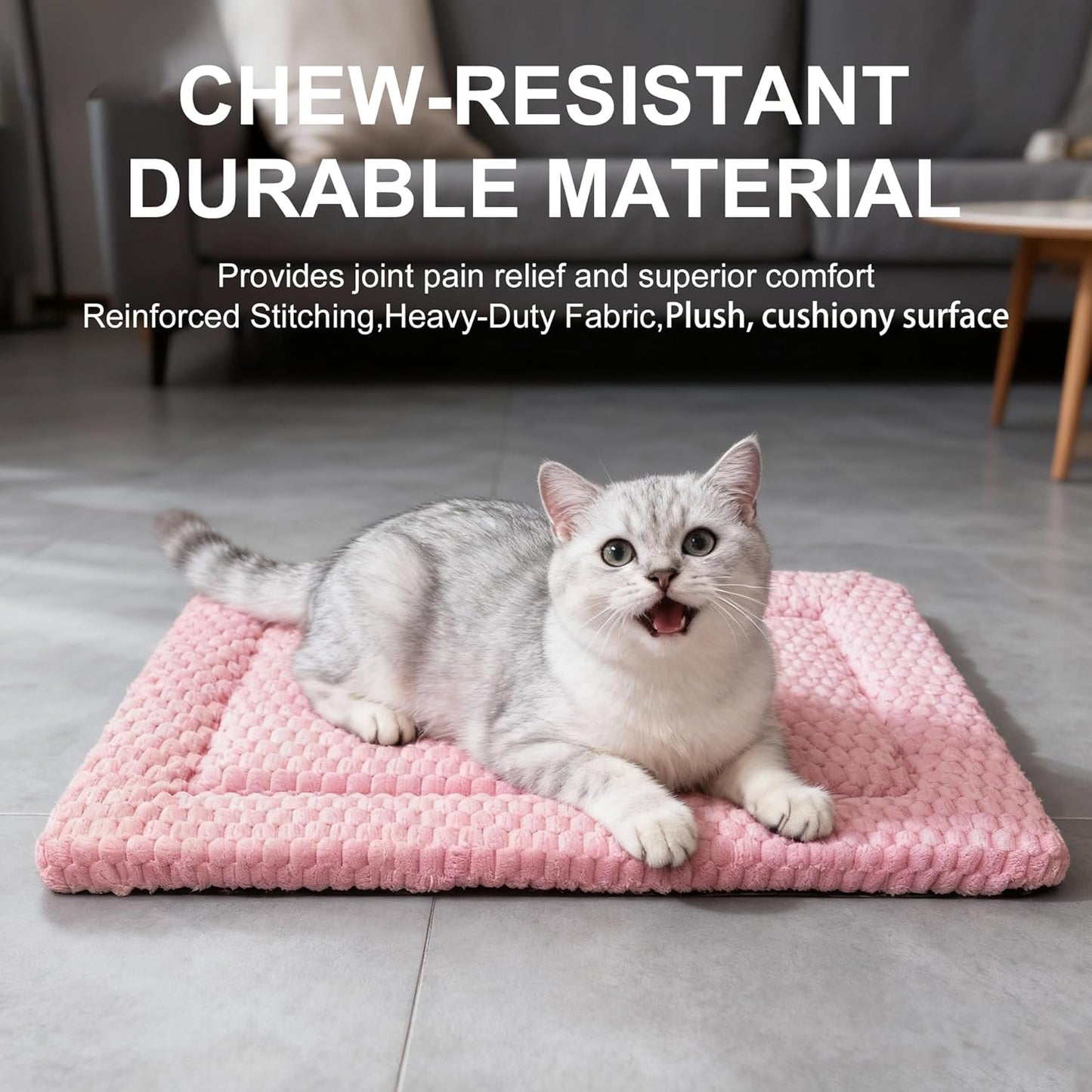 Dog Bed Mat, Reversible Crate Pad & Cute Dog Bed - Machine Washable Kennel Mat with Ultra Soft for Small Dogs (Cool/Warm), 24" x 18", Grey&Star