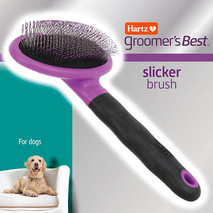 Hartz Groomer's Best Small Slicker Brush for Cats and Small Dogs, Black/Violet, 1 Count