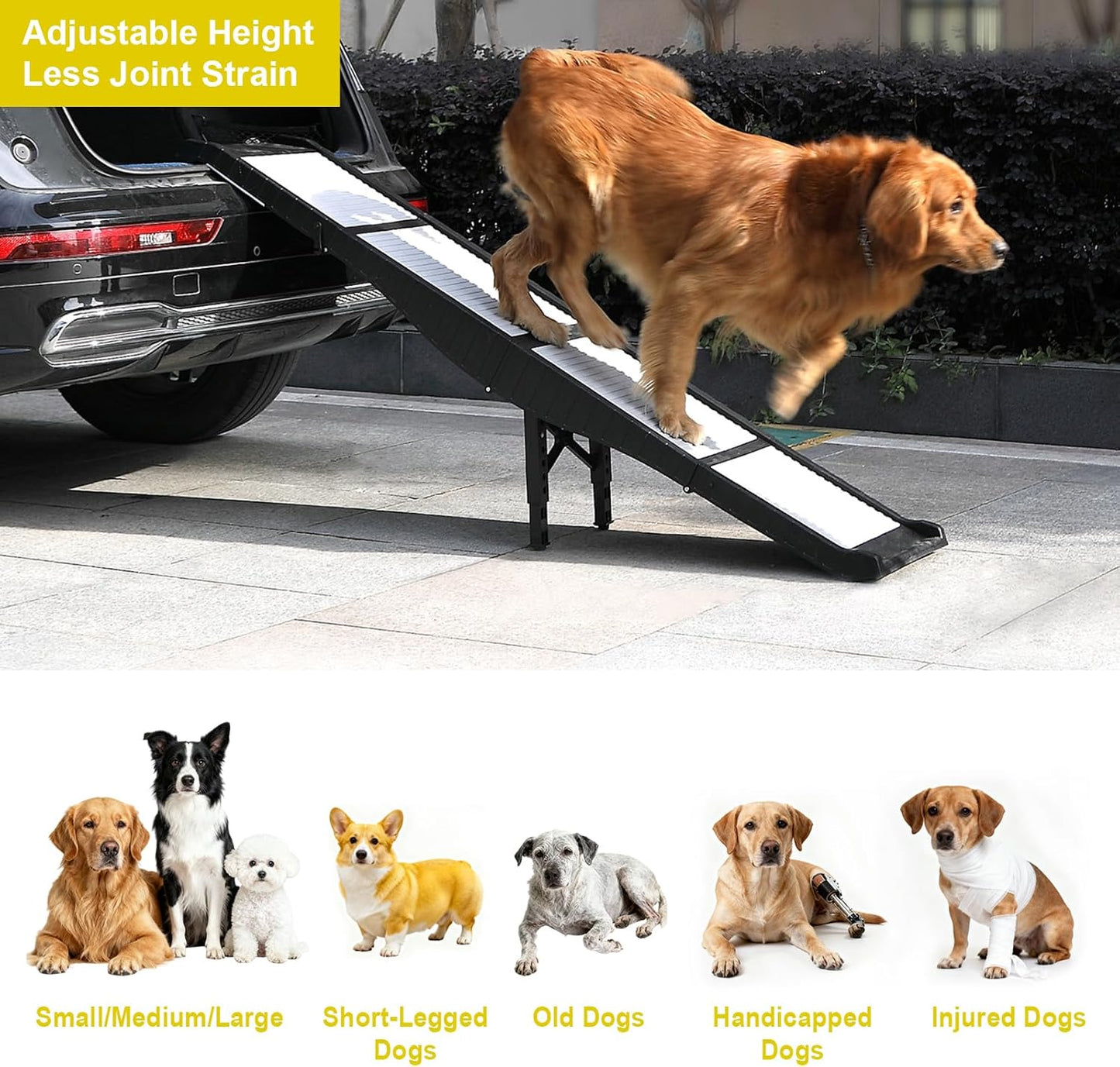 Foldable Dog Ramp for Cars, 8 Adjustable Heights Pet Ramp with Support Legs, Non-Slip & Easy to Clean Portable Dog Ramp, Supports 220 lbs, Foldable to Carry-On Size, Ideal for Large Dogs