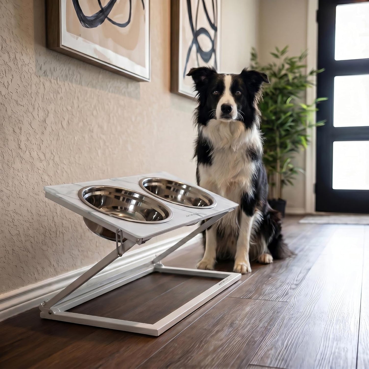 Elevated Dog Bowls, Adjustable Raised Dog Bowl Stand with 2 Stainless Steel Food Bowls 20°Tilted Water Bowls for Medium Small Sized Dogs (Black, Medium)