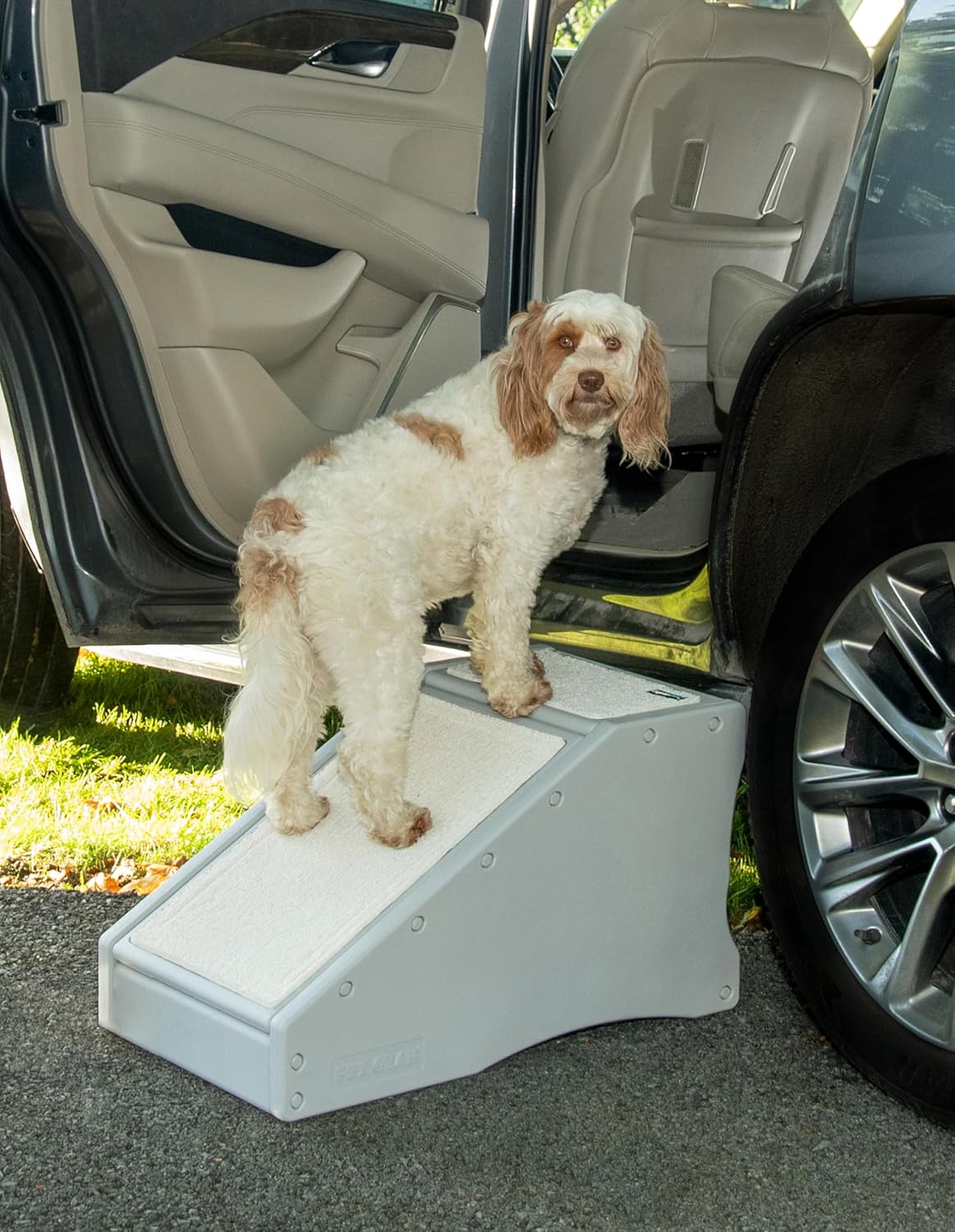 Pet Gear Stramp Stair and Ramp Combination for Dogs/Cats, Easy Step, Lightweight/Portable, Sturdy, Easy Assembly (No Tools Required) 1 Model, Coffee Bean
