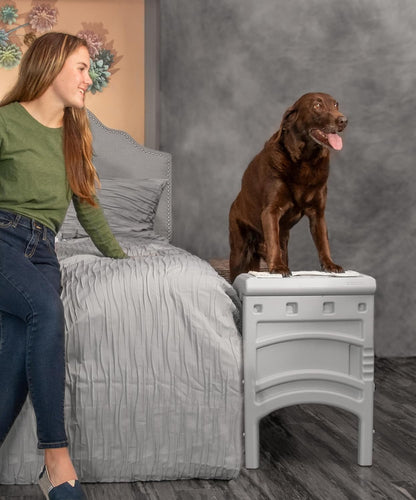 Pet Gear Free Standing Pet Ramp for Cats and Dogs, No Assembly Required, Easy Fold for Storage or Travel, Portable, Holds Up to 100lbs, Wheat