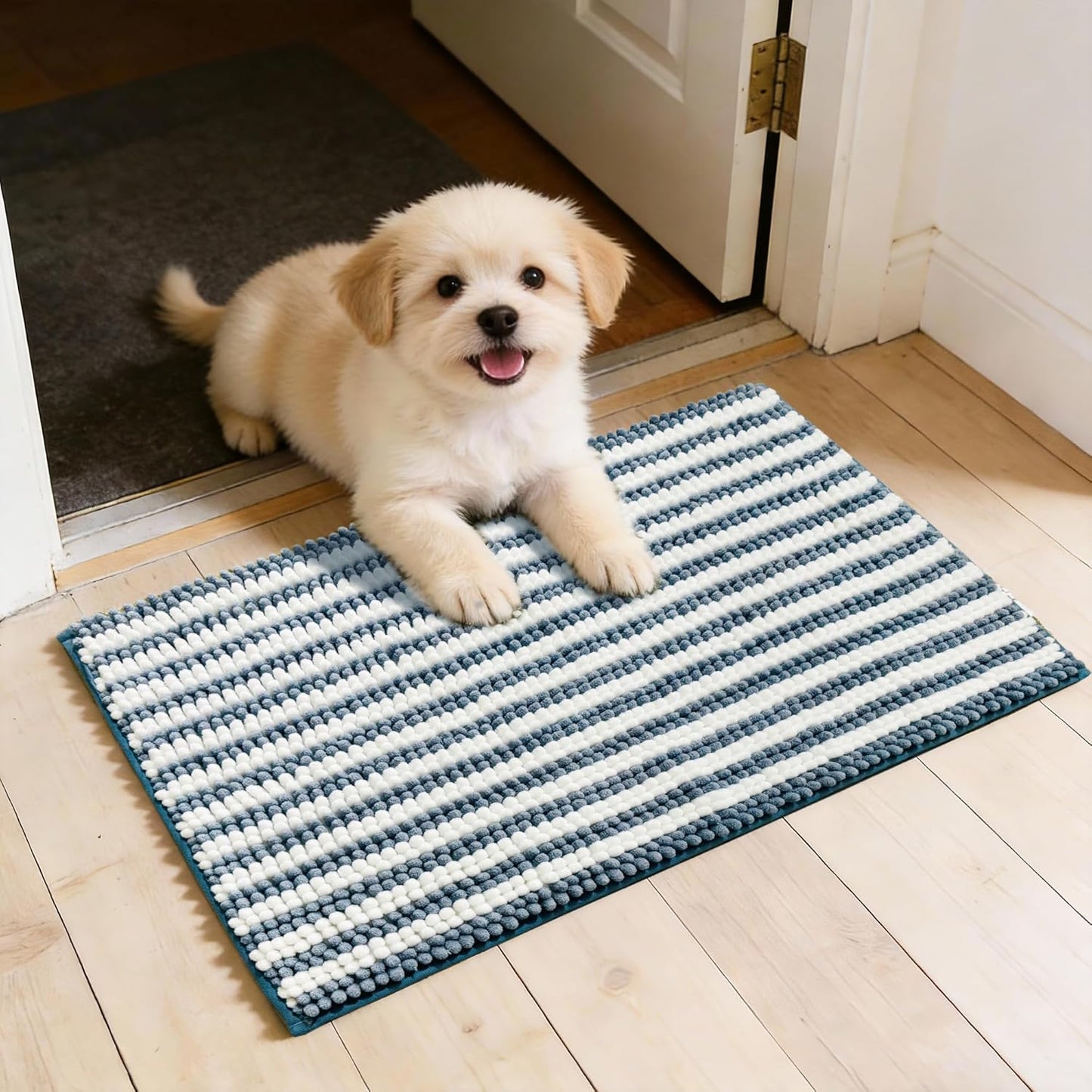 Dog Door Mat for Muddy Paws - Absorbent Quick-Dry Non-Slip Washable Chenille Pet Rug, Indoor Entryway Mat for Front Door & Crate (Brown, 24" L*16" W)