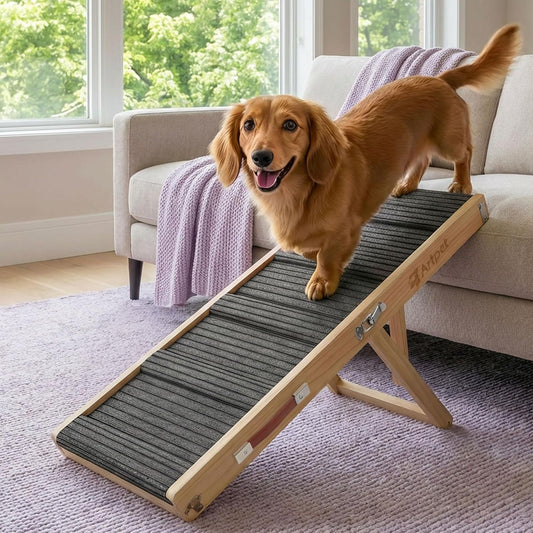 Dog Ramp for Small Dogs for Couch & Bed, Dachshund Joint Care Ramp,Foldable, Anti-Slip, Portable, Height Adjustable, Supports Up to 35 lbs