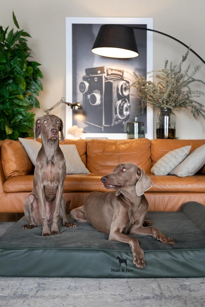 NOAH & PAW Large Dog Bed, 35x25x8.7 Inch, Orthopedic Dog Beds, Eggshell Memory Foam Infused with Cooling Gel, Waterproof, Machine Washable, Includes Inner Cover (Faux Leather)