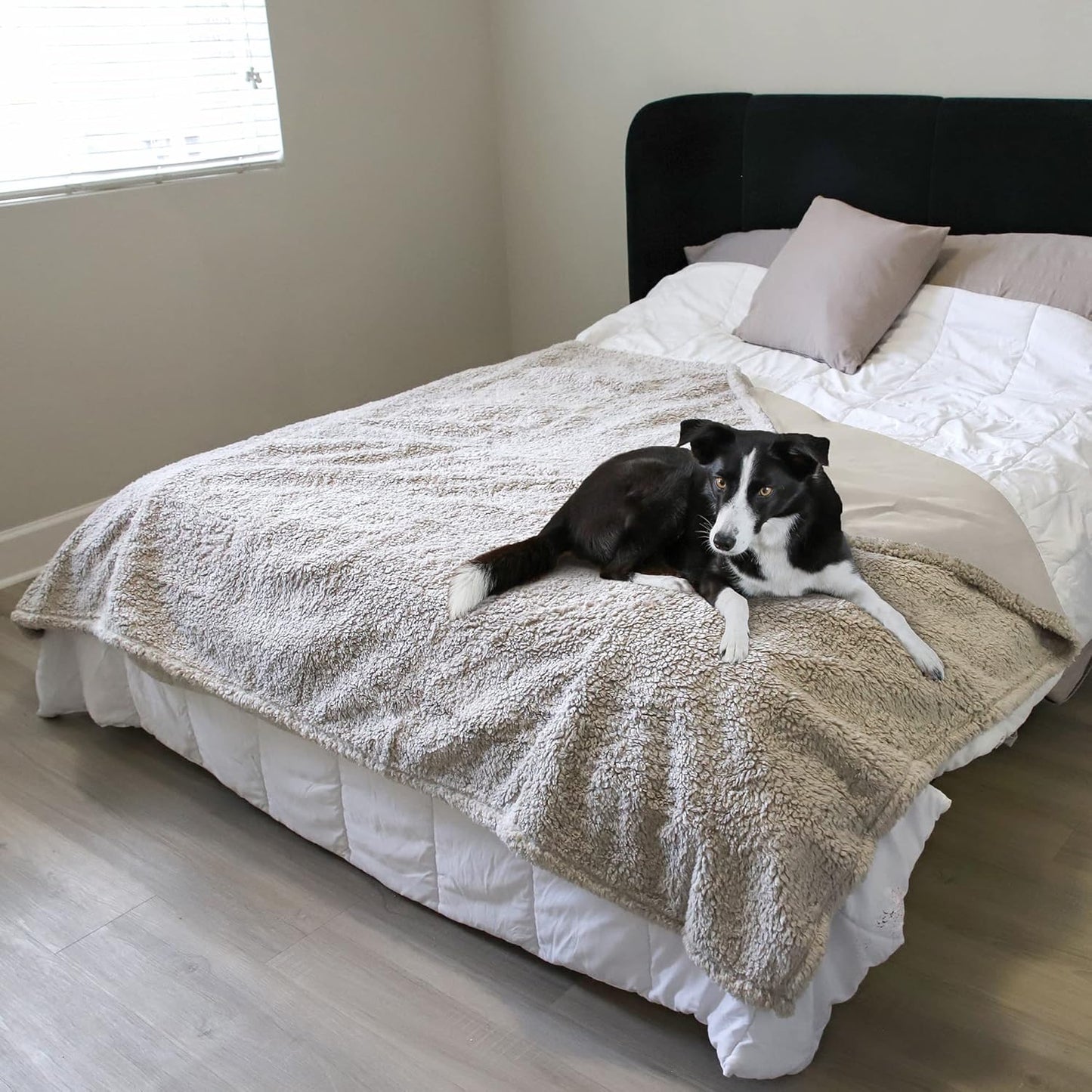 Kritter Planet Waterproof Dog Blanket, Reversible Water Proof Pet Blanket for Couch, Bed & Sofa, Washable Couch Covers for Large Dogs - Protects Furniture from Fur, Dirt, and Accidents