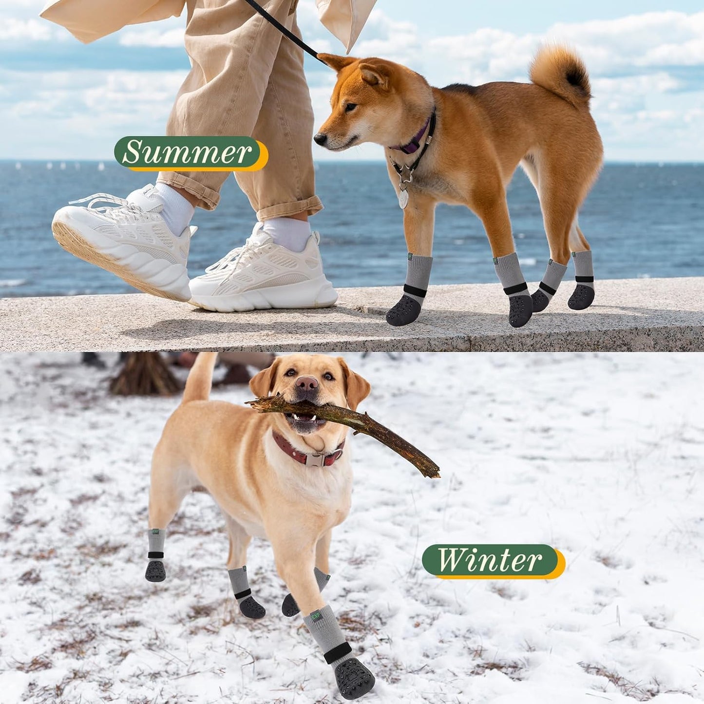 EXPAWLORER Anti Slip Dog Socks to Prevent Licking Paws, Dog Shoes for Hot Pavement Walk, Dog Booties for Hardwood Floors, Dog Boots & Paw Protectors with Grippers for Small Medium Large Senior Dogs M