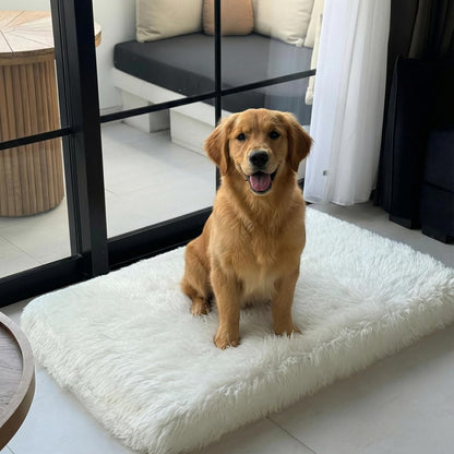 IHAPPYDOG Luxury Faux Fur Orthopedic Dog Bed, Memory Foam Dog Bed for Small, Medium, Large and XL Pets, Fluffy Pet Bed with Waterproof and Washable Cover (White w/Brown Tips, 50"x30")